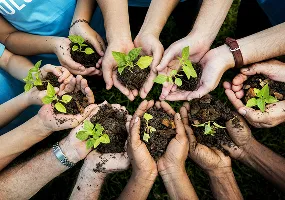 Automóviles: Tipos de Pólizas y Manejo del Siniestro