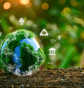 Sostenibilidad en Acción: Transformando el Sector de Seguros